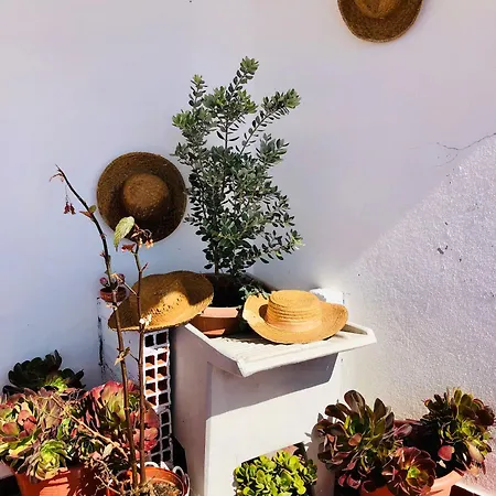 Alojamento Santa Helena بيت للعطل *