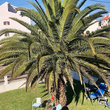 Alojamento Santa Helena بيت للعطل أدوس كونهادوس