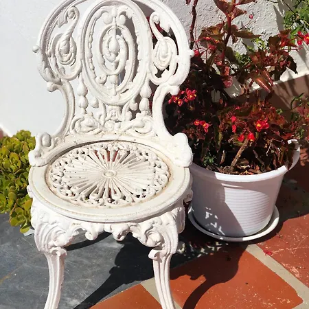 Alojamento Santa Helena Casa de Férias